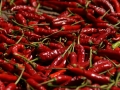 Chilli