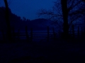 Abendnebel