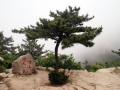 Laoshan