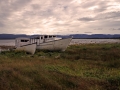 Newfoundland Boats